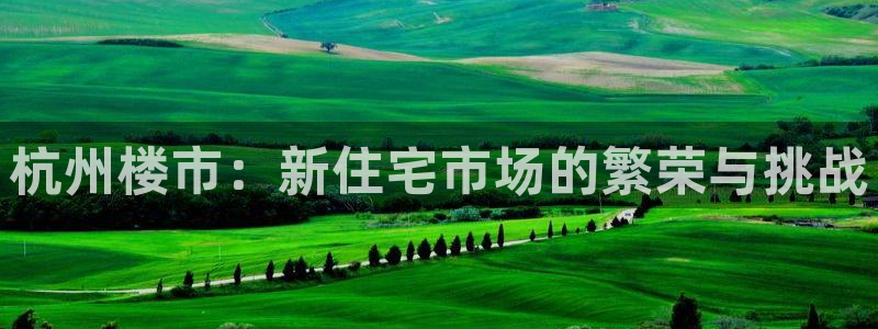 和记娱就问h88285官网：杭州楼市：新住宅市场的繁荣与挑战
