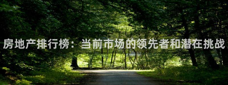 和记怡情博娱中国官网：房地产排行榜：当前市场的领先者和潜在挑