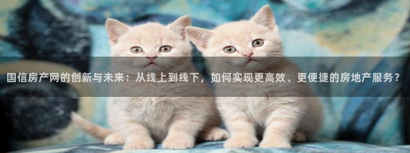 和记奥普泰 官网：国信房产网的创新与未来：从线上到线下，如何