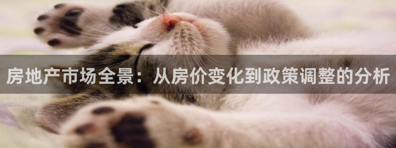 果博官网和记：房地产市场全景：从房价变化到政策调整的分析