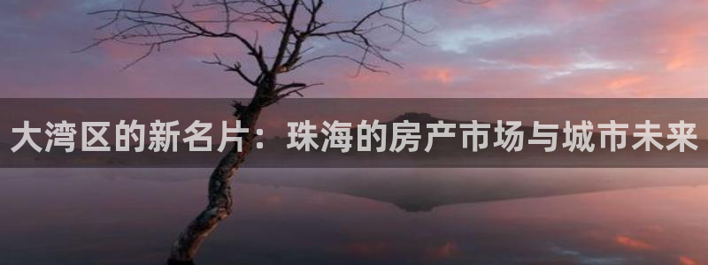 和记集团官网：大湾区的新名片：珠海的房产市场与城市未来