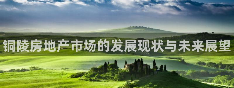 广州和德记官网：铜陵房地产市场的发展现状与未来展望