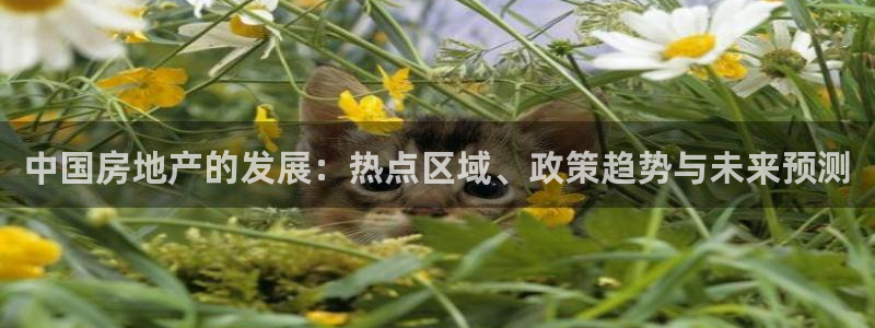 和记娱乐怡情博官网：中国房地产的发展：热点区域、政策趋势与未