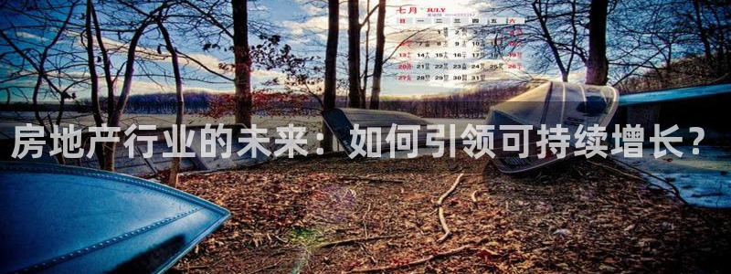 3和记官网：房地产行业的未来：如何引领可持续增长？