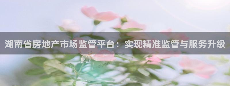 和记官网手机版：湖南省房地产市场监管平台：实现精准监管与服务