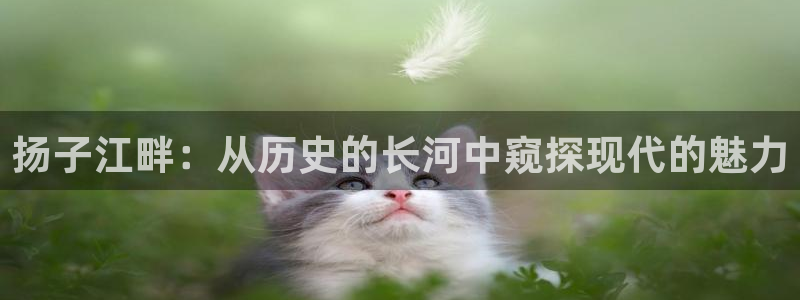 和记澳门官网：扬子江畔：从历史的长河中窥探现代的魅力