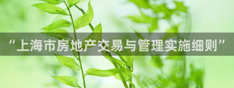 和记app官网：“上海市房地产交易与管理实施细则”