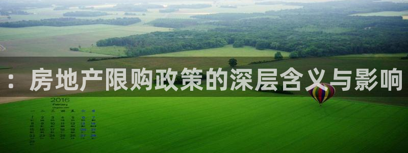 和记官网平台：：房地产限购政策的深层含义与影响
