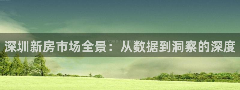 胡和记面官网：深圳新房市场全景：从数据到洞察的深度