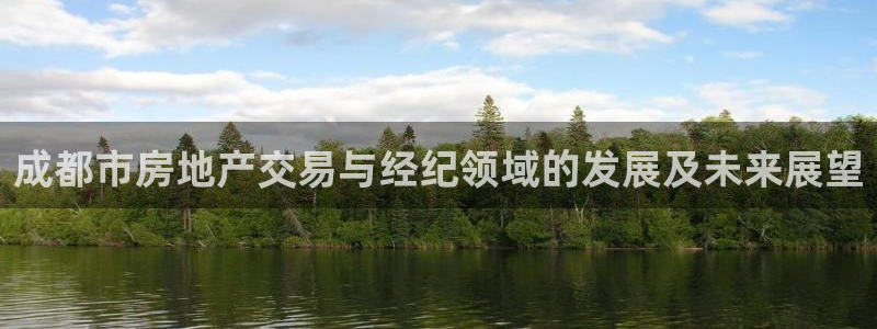 和记官网和记：成都市房地产交易与经纪领域的发展及未来展望