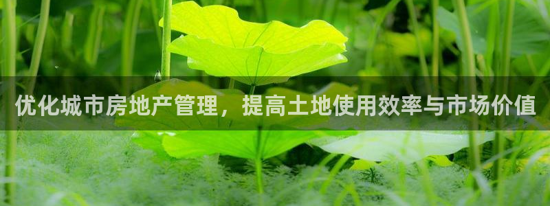 和记3电讯官网：优化城市房地产管理，提高土地使用效率与市场价