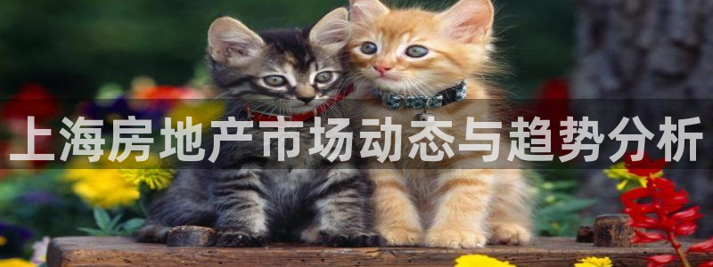 和记手机客户端官网：上海房地产市场动态与趋势分析