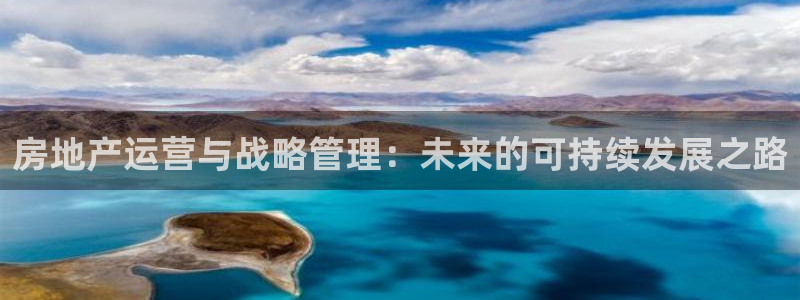 香港和记黄埔官网：房地产运营与战略管理：未来的可持续发展之路