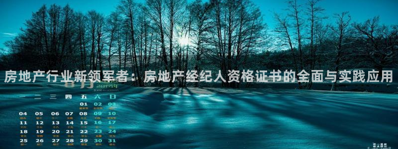 和记黄埔 官网：房地产行业新领军者：房地产经纪人资格证书的全