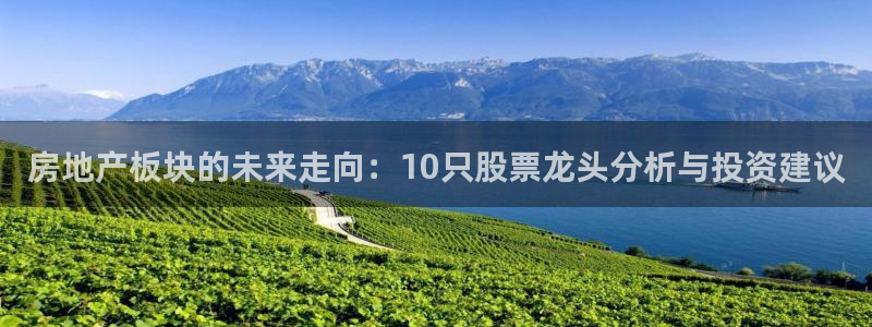 和记娱乐app官网登录：房地产板块的未来走向：10只股票龙头