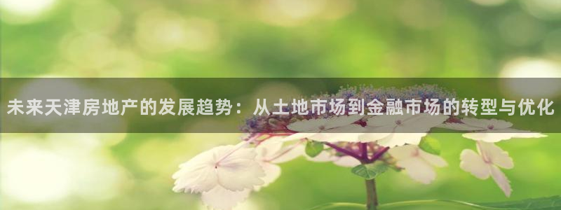 和记大合城dk2官网：未来天津房地产的发展趋势：从土地市场到