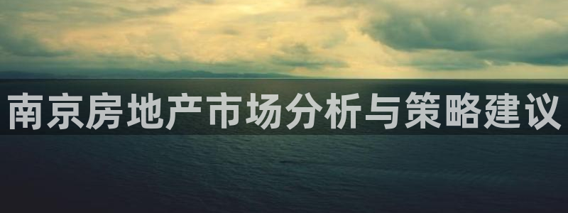 澳门和记电讯官网：南京房地产市场分析与策略建议