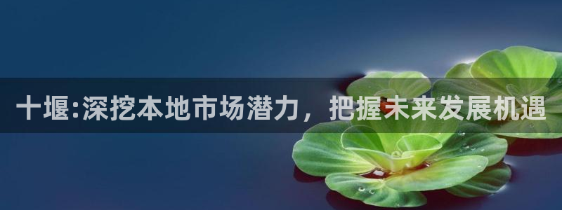 和记香港官网：十堰:深挖本地市场潜力，把握未来发展机遇