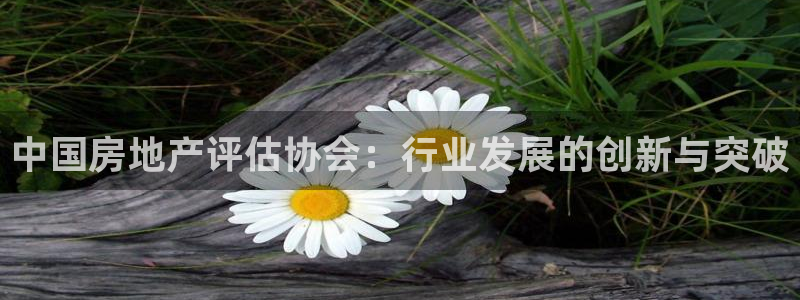 和记 中国官网