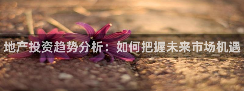 和记备用官网