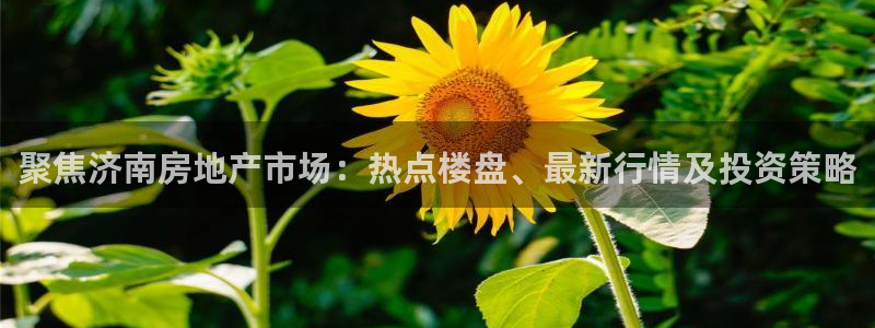 和记官网加盟：聚焦济南房地产市场：热点楼盘、最新行情及投资策