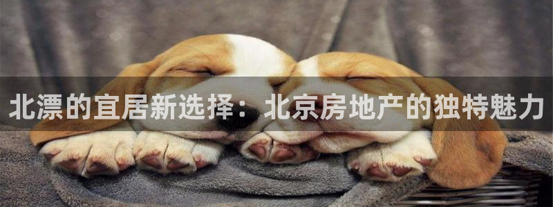 和记3香港 官网