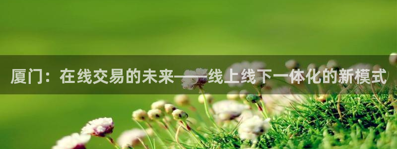 和记娱等级h88285官网：厦门：在线交易的未来——线上线下