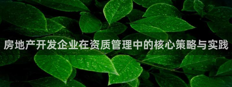 和记官网和记：房地产开发企业在资质管理中的核心策略与实践
