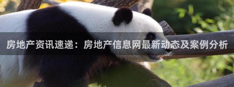 和黄记官网：房地产资讯速递：房地产信息网最新动态及案例分析