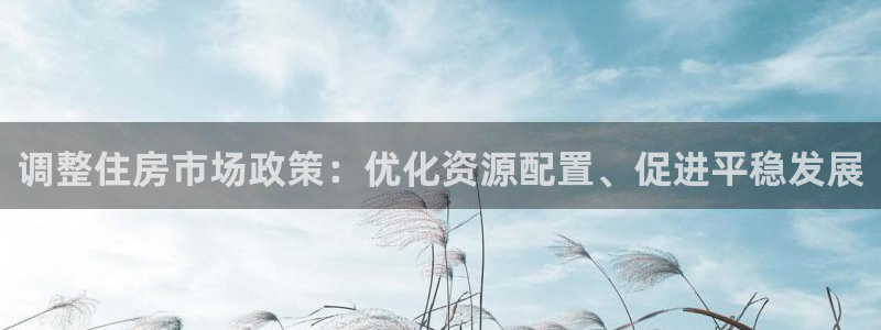 和记3电讯 官网：调整住房市场政策：优化资源配置、促进平稳发