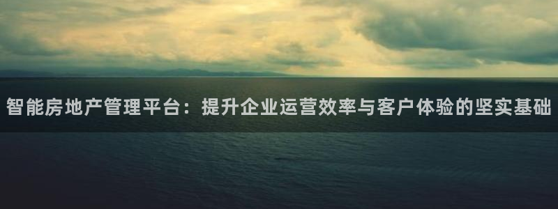 和记娱真好h88285官网：智能房地产管理平台：提升企业运营