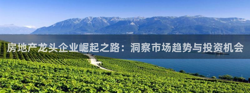 澳门和记官网娱乐场：房地产龙头企业崛起之路：洞察市场趋势与投