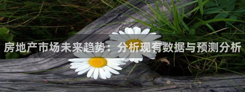 和记怡情h88官网：房地产市场未来趋势：分析现有数据与预测分