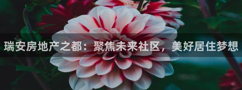 胡和记面官网：瑞安房地产之都：聚焦未来社区，美好居住梦想