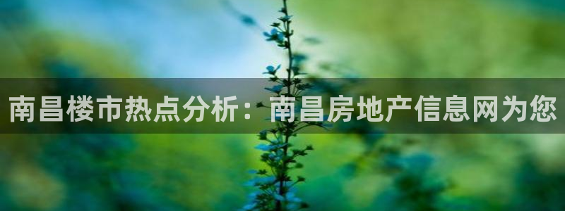 和记娱真好h88285官网