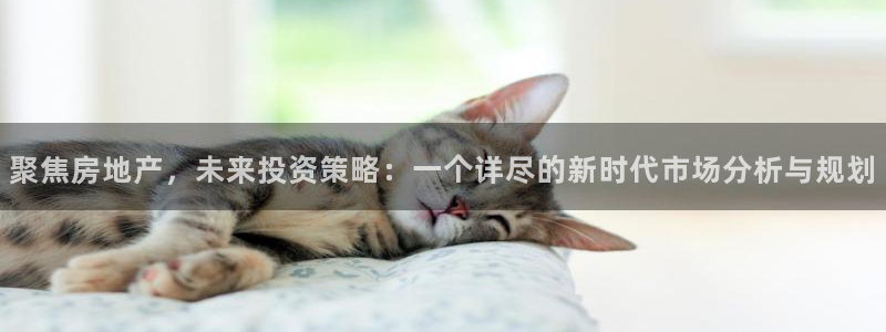 澳门和记电信官网：聚焦房地产，未来投资策略：一个详尽的新时代