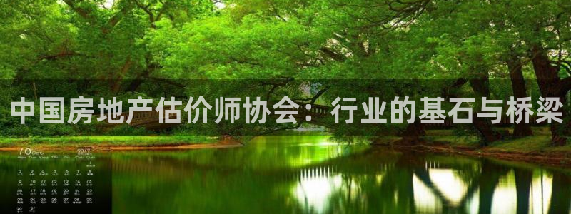 香港和记3官网：中国房地产估价师协会：行业的基石与桥梁
