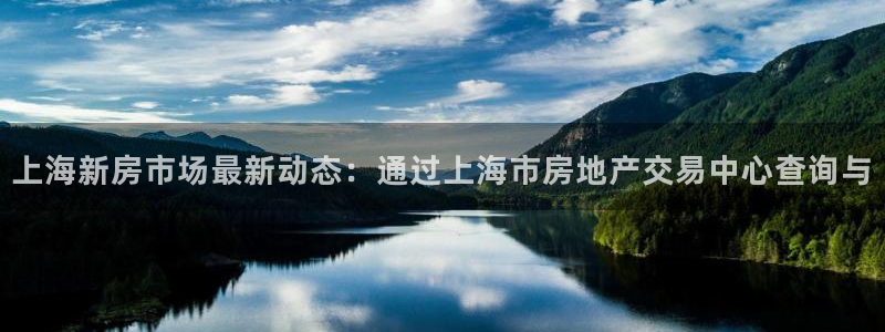 和记官网手机版：上海新房市场最新动态：通过上海市房地产交易中
