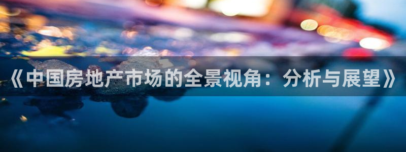 下载和记官网：《中国房地产市场的全景视角：分析与展望》