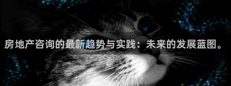 和记3香港 官网：房地产咨询的最新趋势与实践：未来的发展蓝图