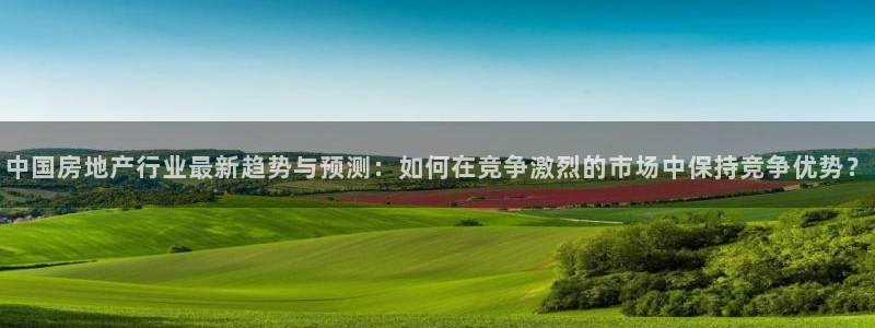 和记体育买球官网：中国房地产行业最新趋势与预测：如何在竞争激