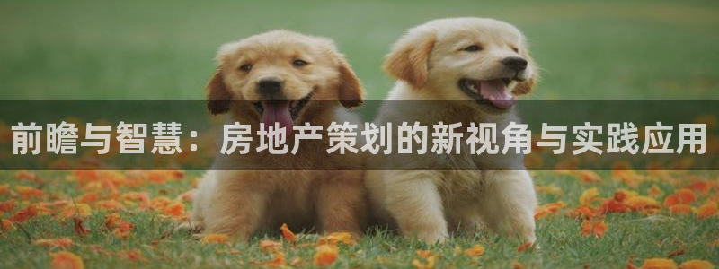 长江和记有限公司 官网：前瞻与智慧：房地产策划的新视角与实践