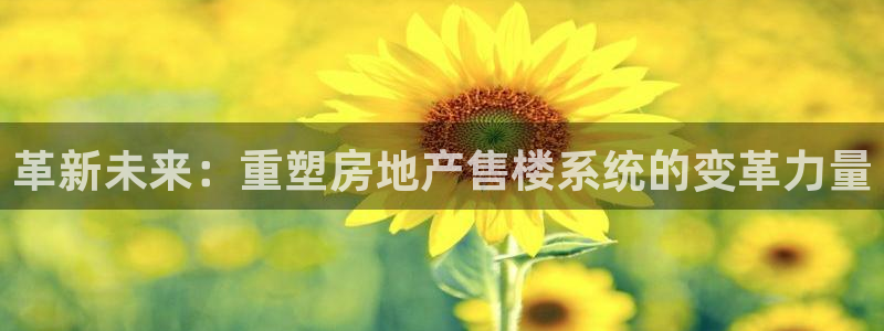 长江和记官网：革新未来：重塑房地产售楼系统的变革力量