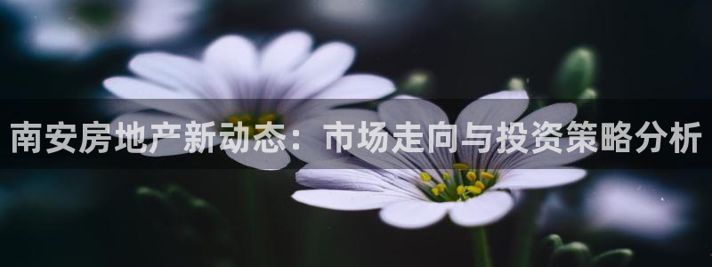和记隆官网：南安房地产新动态：市场走向与投资策略分析