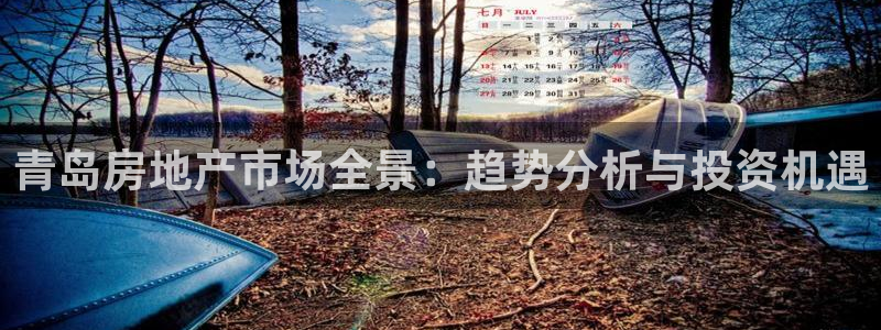 成都和记黄埔地产官网：青岛房地产市场全景：趋势分析与投资机遇