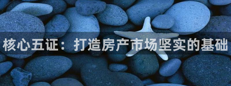 和记3香港 官网：核心五证：打造房产市场坚实的基础