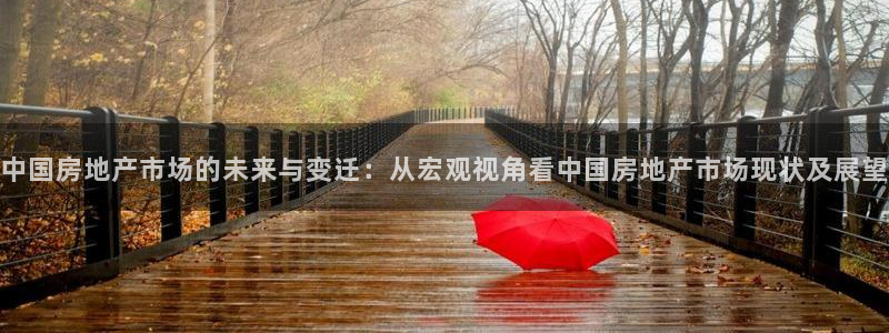 澳门和记电讯官网：中国房地产市场的未来与变迁：从宏观视角看中