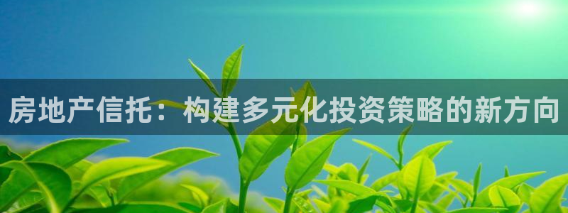 和记官网平台入口：房地产信托：构建多元化投资策略的新方向