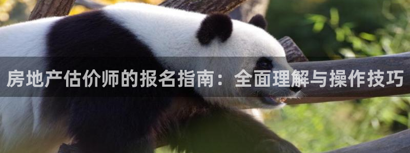 和记火爆官网：房地产估价师的报名指南：全面理解与操作技巧