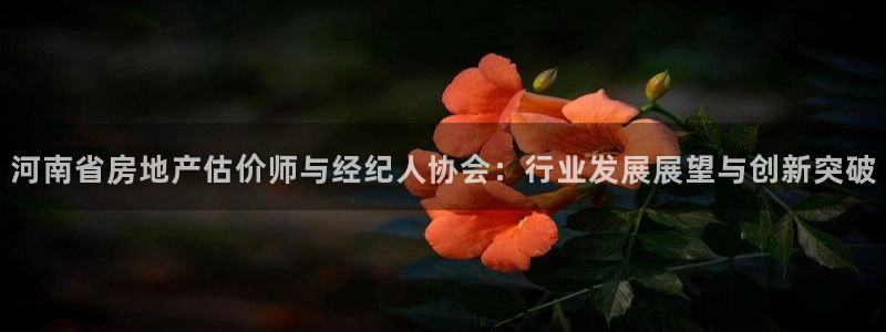 和记旗舰官网：河南省房地产估价师与经纪人协会：行业发展展望与